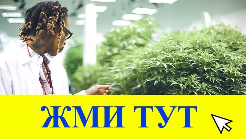 Купить наркотики в Дубовке